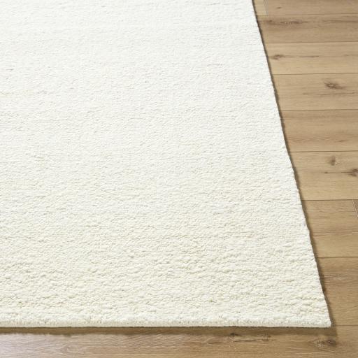 Surya Davala DVL-2300 2' x 3' Rug