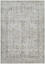 Surya Edmonton EDO-2310 2' x 2'11" Rug