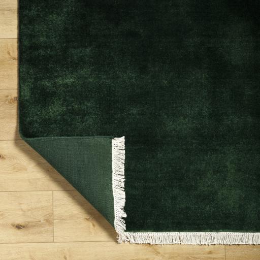 Surya Evergreen EVG-2313 2' x 3' Rug