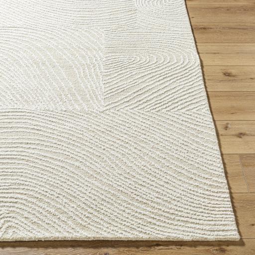 Surya Falcao FAC-2301 8' x 10' Rug