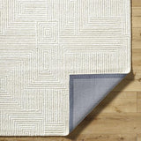 Surya Falcao FAC-2304 2' x 3' Rug