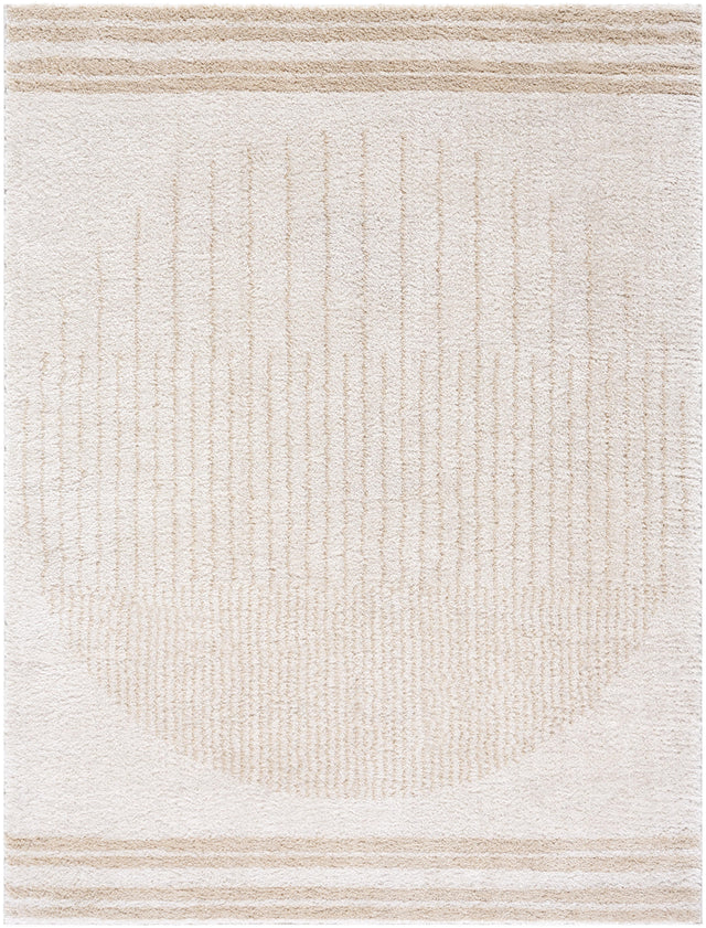 Surya Fossay Shag FSG-2306 5'3" x 7' Rug