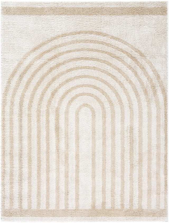 Surya Fossay Shag FSG-2311 5'3" x 7' Rug