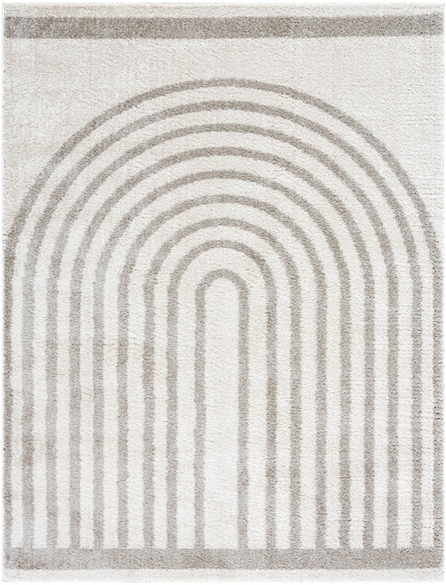 Surya Fossay Shag FSG-2313 6'7" x 9' Rug