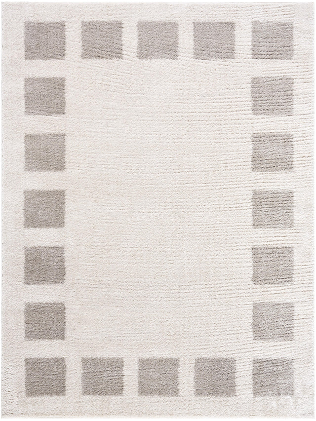 Surya Fossay Shag FSG-2317 5'3" x 7' Rug