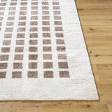 Surya Fossay Shag FSG-2318 2' x 2'11" Rug