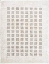 Surya Fossay Shag FSG-2322 5'3" x 7' Rug