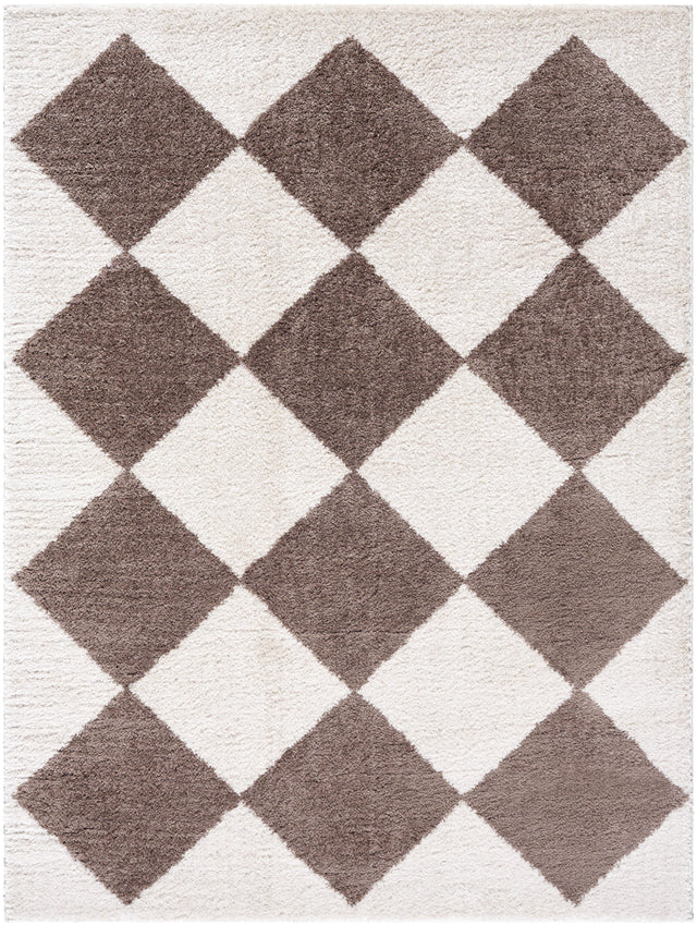 Surya Fossay Shag FSG-2323 2' x 2'11" Rug