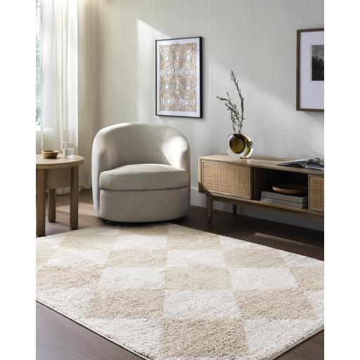 Surya Fossay Shag FSG-2324 7'10" x 10' Rug