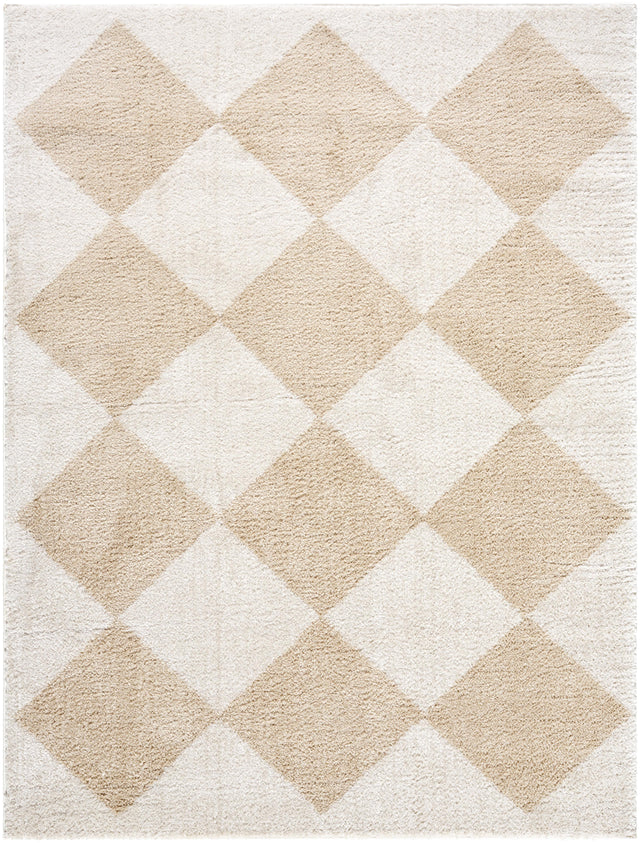 Surya Fossay Shag FSG-2324 2' x 2'11" Rug