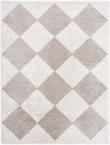 Surya Fossay Shag FSG-2327 5'3" x 7' Rug