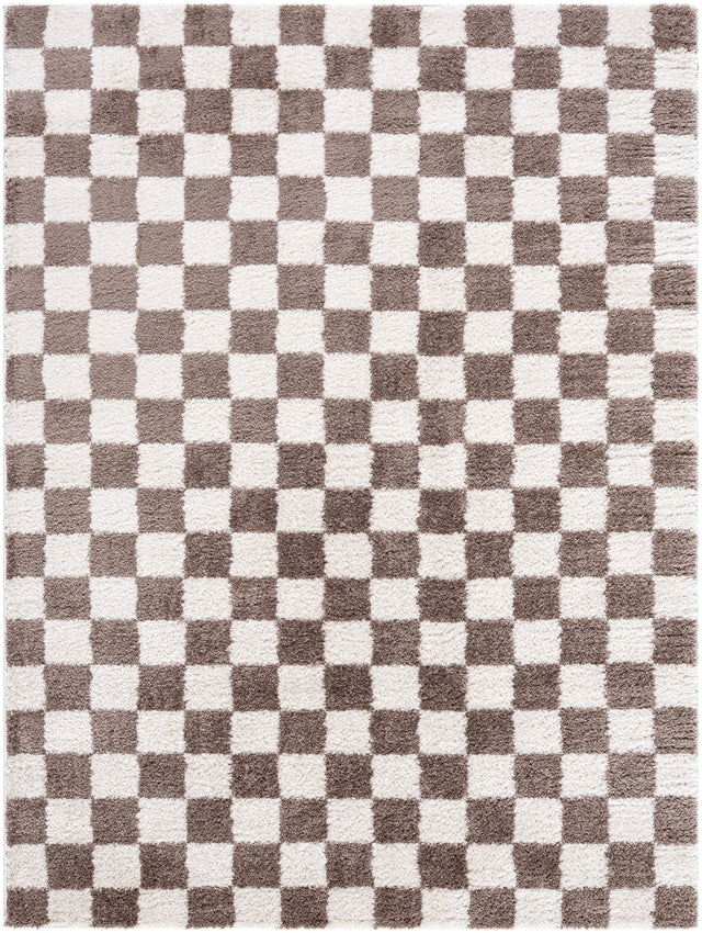 Surya Fossay Shag FSG-2328 2'7" x 7'3" Rug