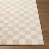 Surya Fossay Shag FSG-2329 5'3" x 7' Rug
