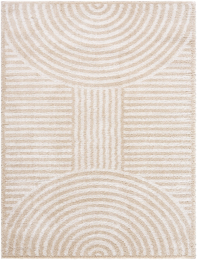 Surya Fossay Shag FSG-2332 6'7" x 9' Rug