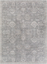 Surya Collins Avenue GACA-2300 2'1" x 3'9" Rug