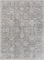 Surya Collins Avenue GACA-2300 2'1" x 3'9" Rug