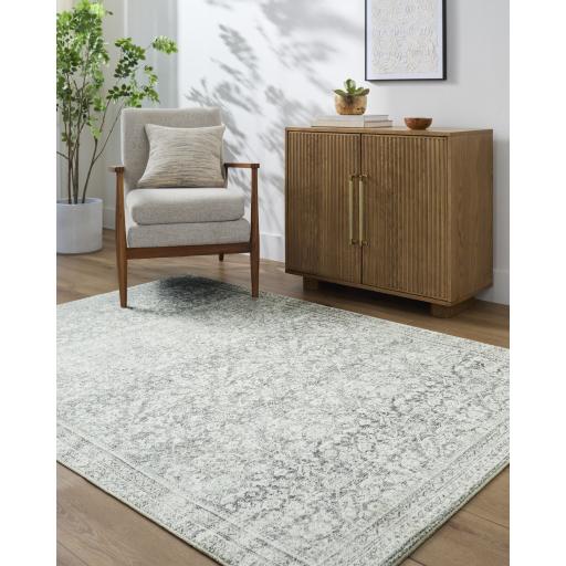 Surya Collins Avenue GACA-2303 2'7" x 7'3" Rug