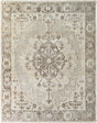 Surya Hadiya HAY-2300 10' x 14' Rug