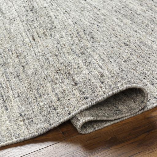 Surya Hamburg HMB-2301 2' x 3' Rug