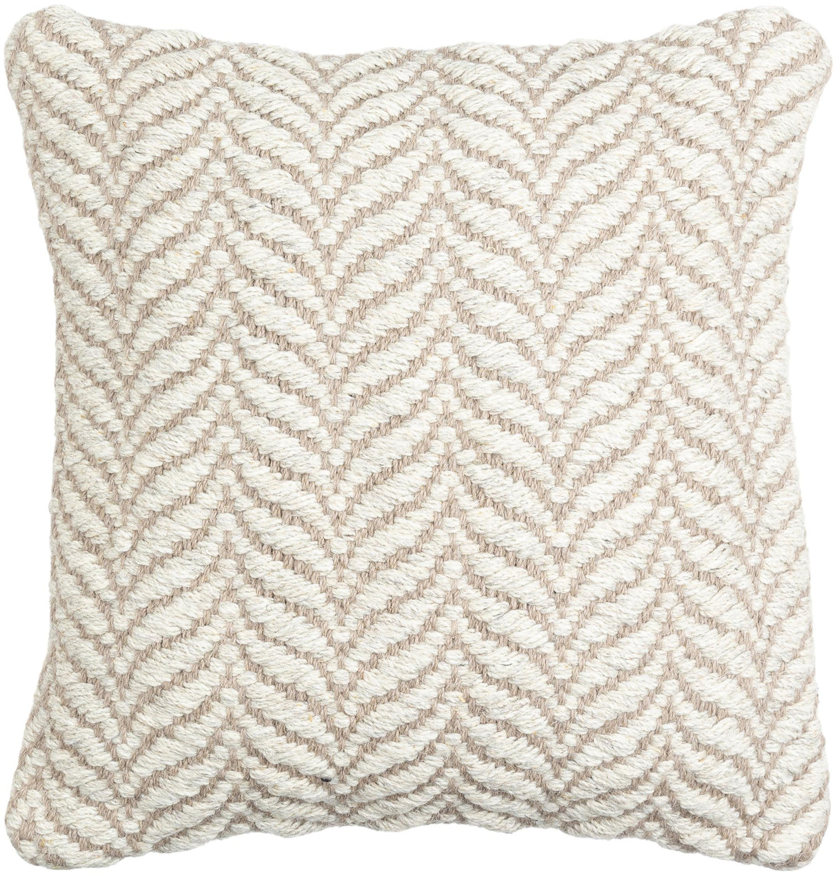 Surya Jhansi JHA-001 22"H x 22"W Pillow Cover