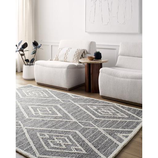 Surya Jules JLS-2300 2' x 3' Rug