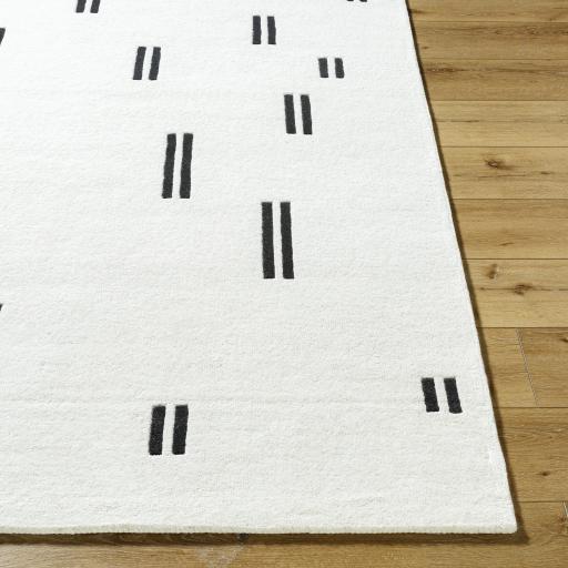 Surya Jason Wu JSW-1003 2' x 3' Rug
