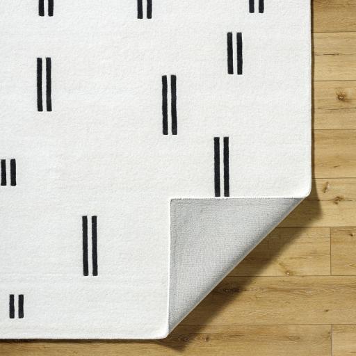 Surya Jason Wu JSW-1003 2' x 3' Rug