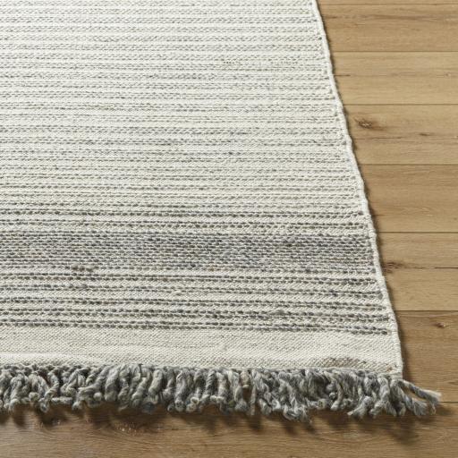 Surya Lucie LCE-2301 2' x 3' Rug