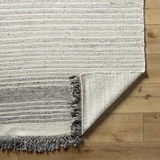 Surya Lucie LCE-2301 2' x 3' Rug