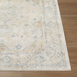 Surya Lillian LLL-2352 2' x 2'11" Rug