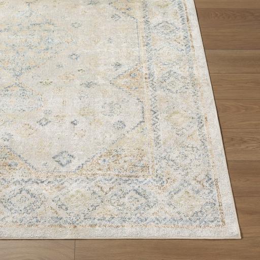 Surya Lillian LLL-2352 2'2" x 3'9" Rug