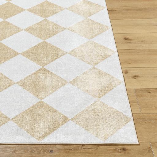 Surya Lillian LLL-2377 2'2" x 3'9" Rug