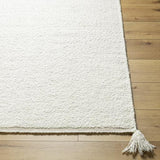 Surya Merino Boucle MBC-2300 2' x 3' Rug