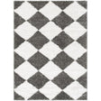 Surya Nomadic NMC-2332 7'10" x 10' Rug