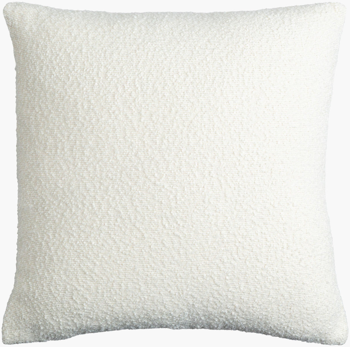 Surya Olinda OIN-001 22"L x 22"W Pillow