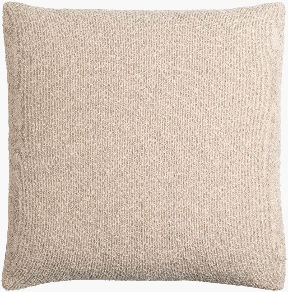 Surya Olinda OIN-009 22"L x 22"W Pillow