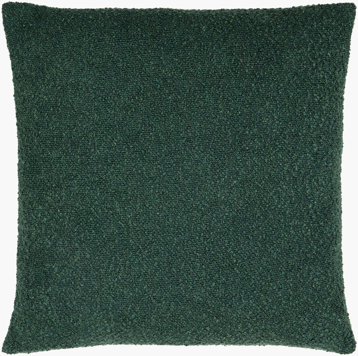 Surya Olinda OIN-013 22"L x 22"W Pillow