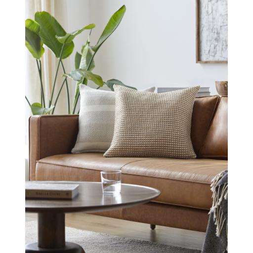 Surya Colchester OLC-001 18"H x 18"W Pillow Cover