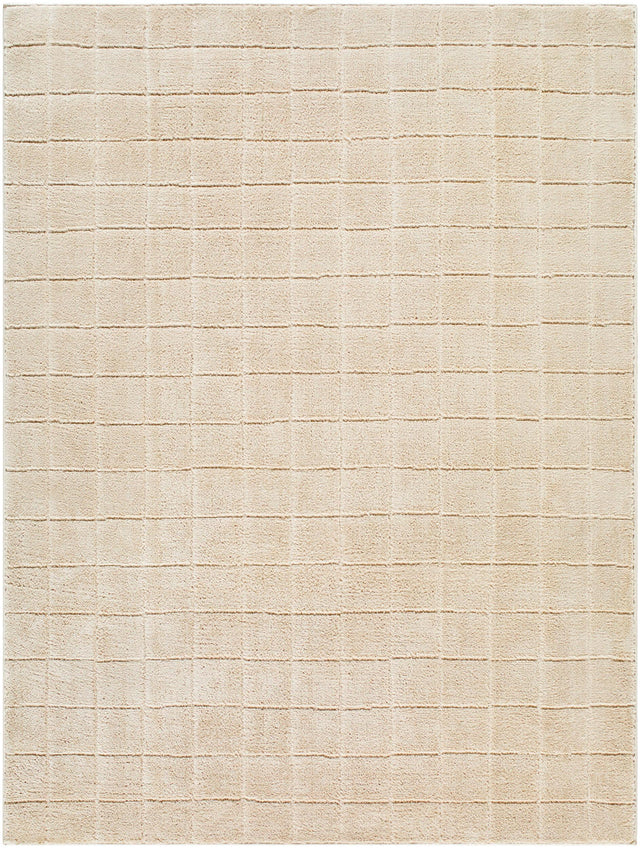 Livabliss Cascade PNWCS-2304 2'7" x 10' Machine Woven Rug