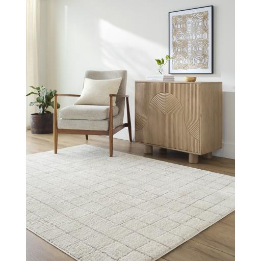 Surya Cascade PNWCS-2305 7'10" x 10' Rug