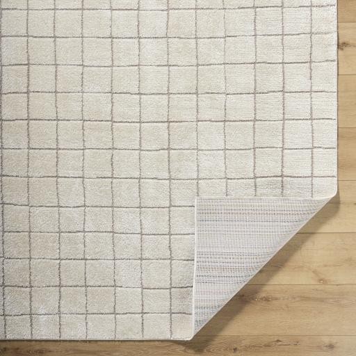 Surya Cascade PNWCS-2305 2'7" x 7'3" Rug