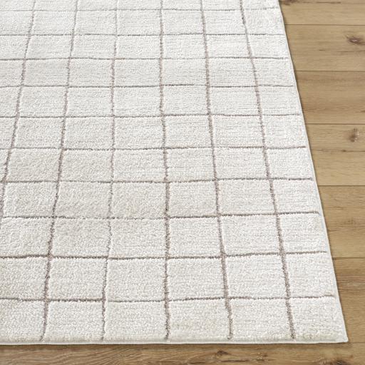 Surya Cascade PNWCS-2305 6'7" x 9' Rug