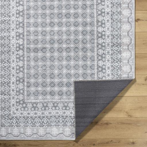 Surya Rainier PNWRN-2311 2'7" x 10' Rug