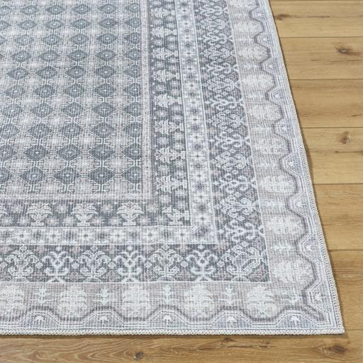 Surya Rainier PNWRN-2311 2' x 2'11" Rug