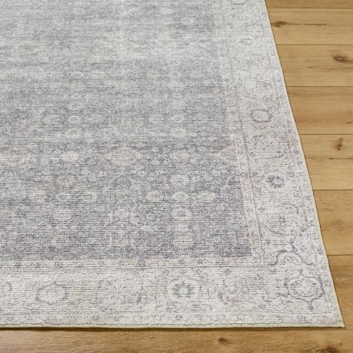 Surya Spokane PNWSP-2305 2'2" x 3'9" Rug