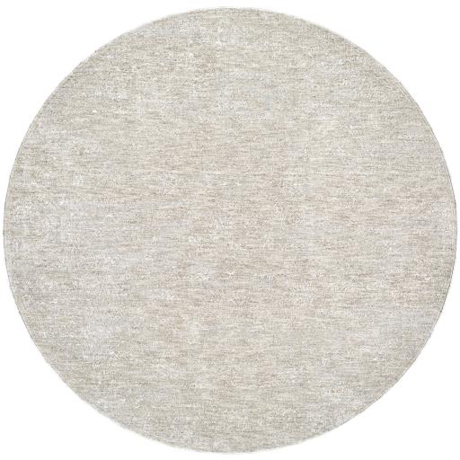 Surya Poet POT-2301 2'7" x 3'11" Rug