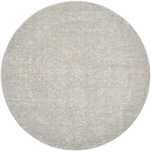 Surya Poet POT-2302 6'7" x 9'6" Rug