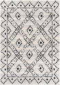 Livabliss Pisa PSS-2327 5' x 7' Machine Woven Rug