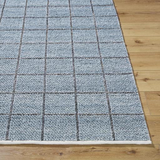 Surya Provence PVE-2302 2' x 3' Rug