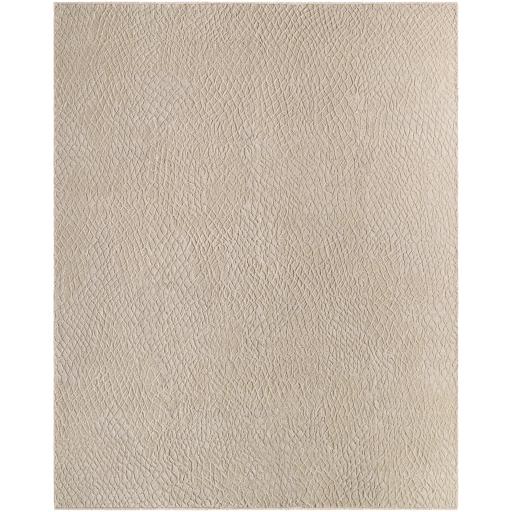 Surya Reyyan RHE-2302 10' x 14' Rug